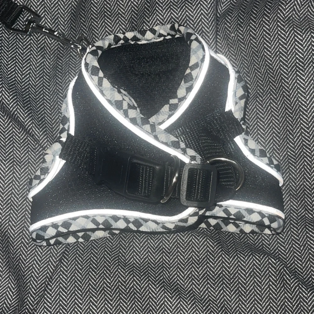 Chic Black and White Cat Harness and Leash Set